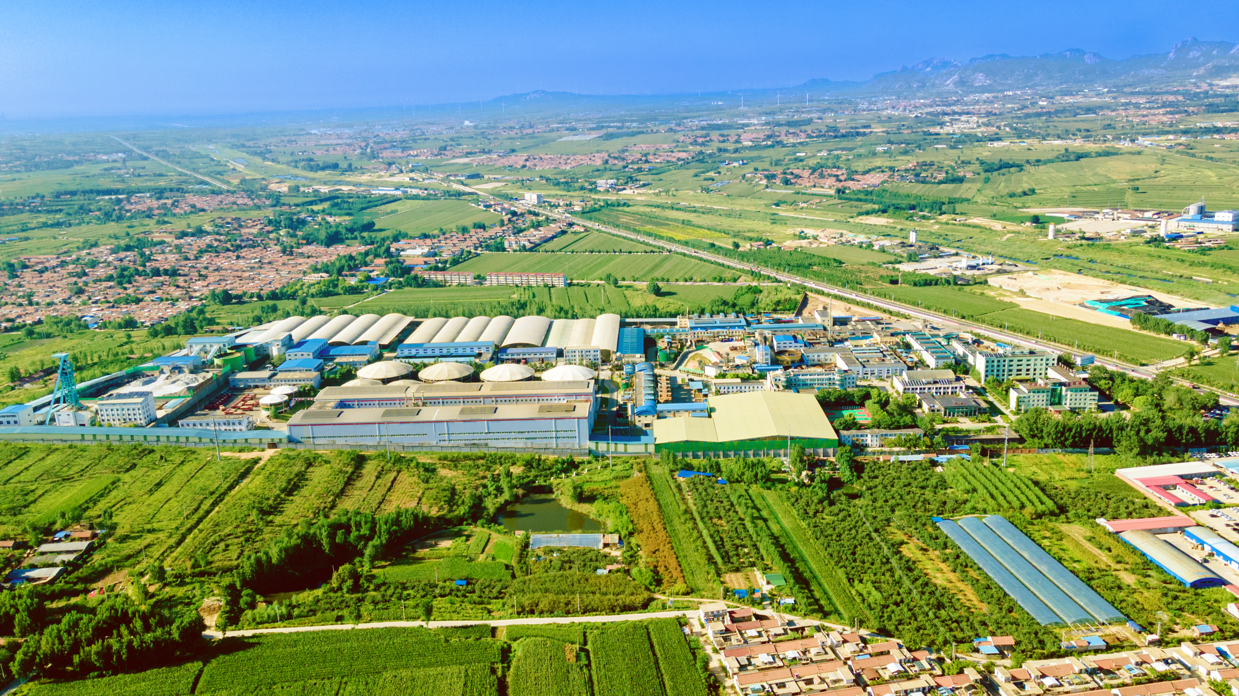 1745479232176066879.png 9-金翅嶺金礦.png